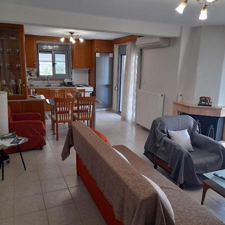 Dominikis Appartment Néa Péramos エクステリア 写真