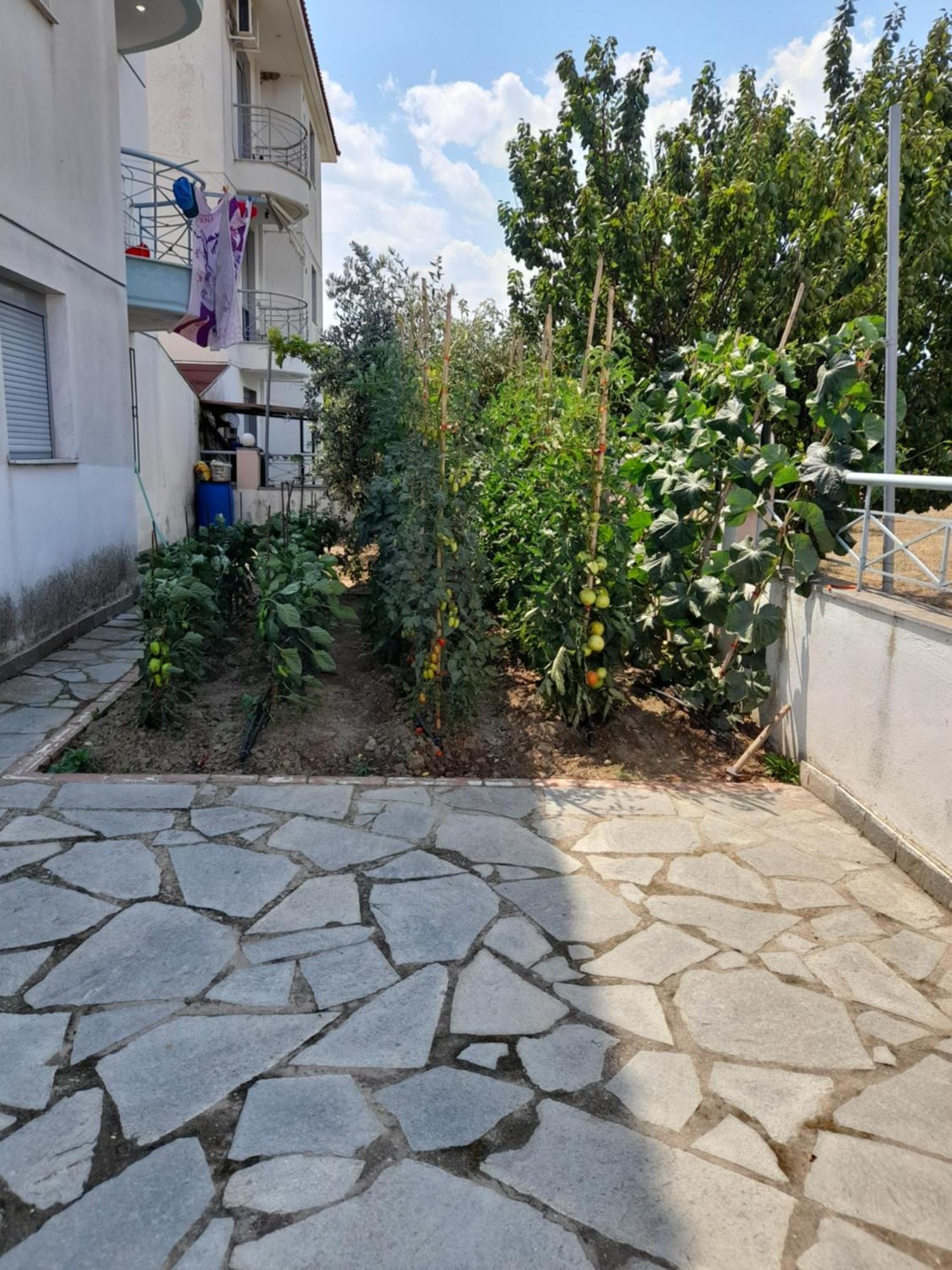 Dominikis Appartment Néa Péramos エクステリア 写真